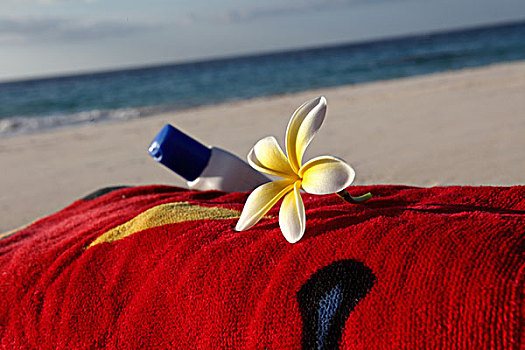 花,防晒霜,毛巾,海滩