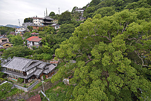 山,索道,广岛,日本