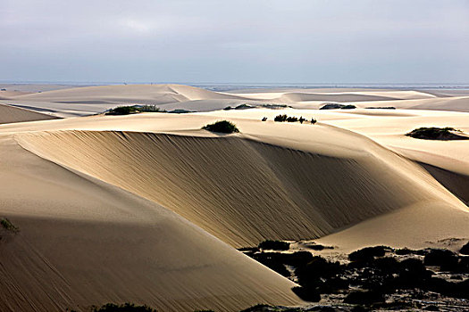 沙丘,沙漠,靠近,湾,纳米比亚