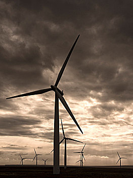 苏格兰,凯思内斯郡,风电场,21岁,21点,风轮机,2004年