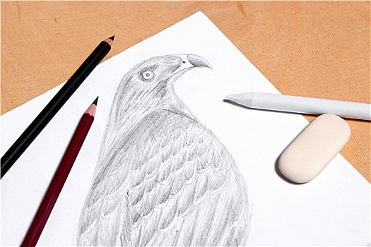 铅笔,橡皮,石墨,绘画,老鹰