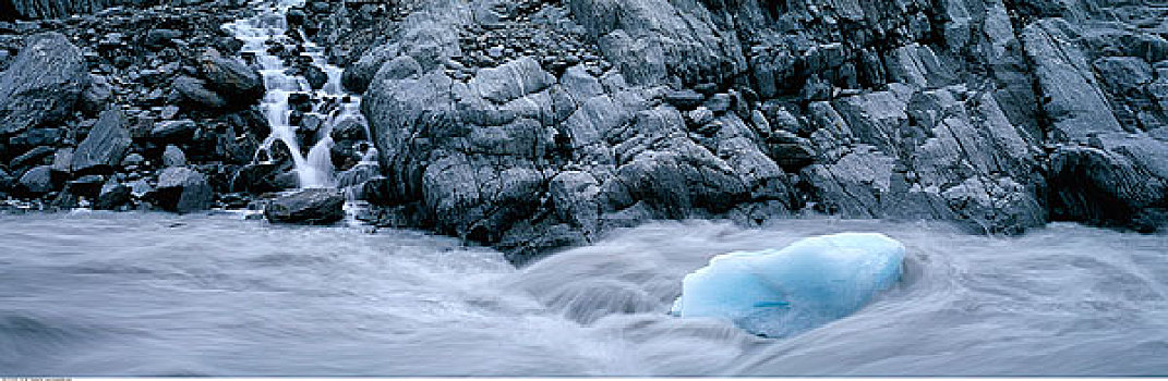 冰川冰,河,西区国家公园,新西兰
