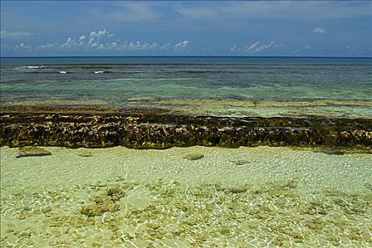 全景,海洋,圣安德烈斯岛,哥伦比亚