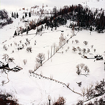 乡村,冬天,展示,农场,雪,山坡,罗马尼亚,十一月,2003年