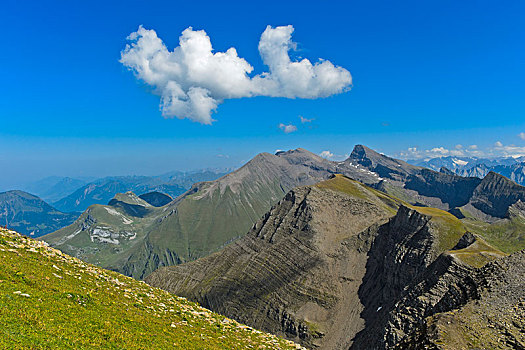 崎岖,山脊,伯尔尼阿尔卑斯山,后面,格林德威尔,伯恩高地,瑞士,欧洲