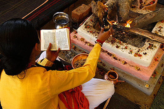 印度,女性,苦行僧,读,宗教经文,加油,火,神圣,大壶节