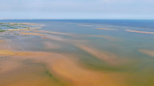 山东省日照市,夏日赶海拾贝如同赶大集,这个赶海园人气鼎盛超治愈