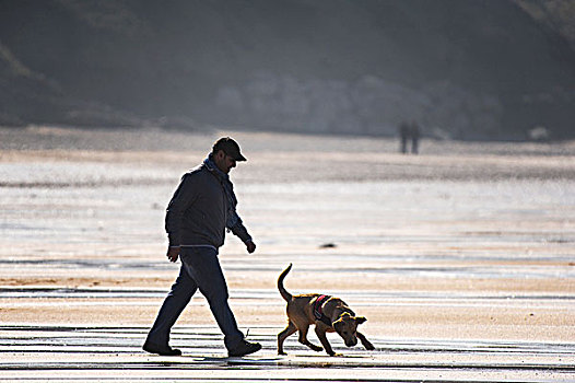 一个,男人,狗,享受,轻快,走,海滩,纽基,康沃尔
