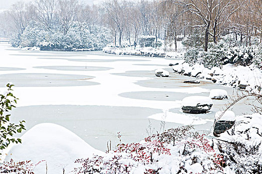 雪景