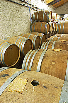 橡树,大酒桶,桶,发酵,白葡萄酒,洞,遮盖,黄麻纤维,城堡,法国