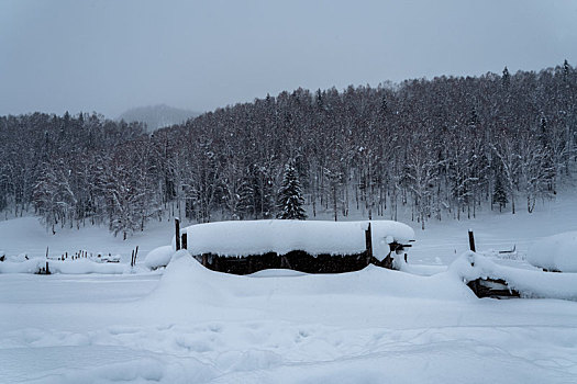 冬日雪景,中国,阿尔泰山区