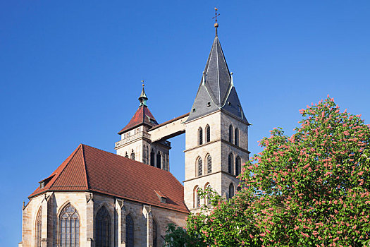 教堂,埃斯林根,内卡河,巴登符腾堡,德国