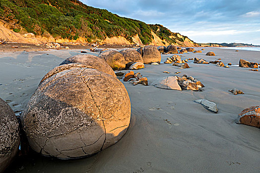 漂石,早晨,亮光,海滩,奥塔哥地区,新西兰,大洋洲
