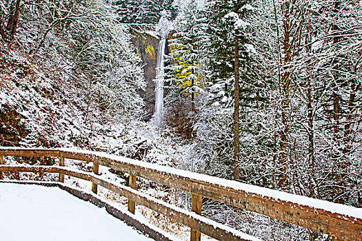 雪,漂亮,拉图来尔瀑布,哥伦比亚河峡谷国家风景区,俄勒冈,美国