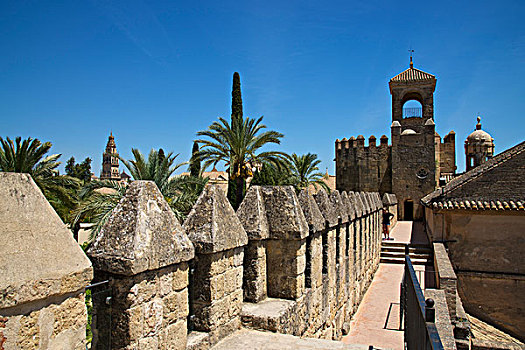 城堡,科多巴省,安达卢西亚,西班牙,欧洲