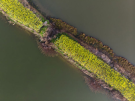 湖北黄石保安湖国家湿地公园春季航拍风光