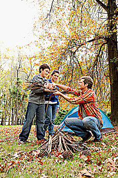 男人,孩子,收集,木柴,野餐