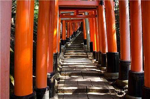 大门,稻成,神祠,京都