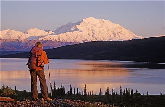 远足者,风景,山,麦金利山,德纳里峰国家公园,阿拉斯加,北美
