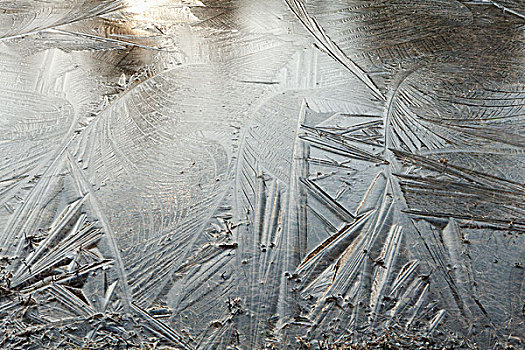 特写,图案,冰,冰冻,表面,桑德贝,安大略省,加拿大