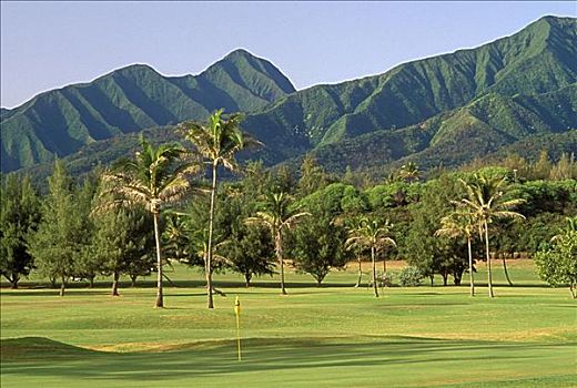 夏威夷,毛伊岛,高尔夫球场,果岭,山峦,背景
