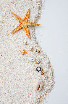 海星,海贝,沙滩,度假,概念,相似