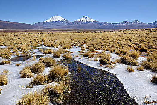 积雪,火山,结冰,国家公园,边界,玻利维亚,智利