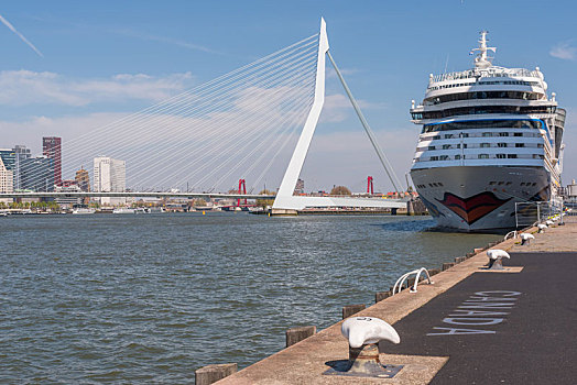 停靠在荷兰鹿特丹港口的大型游轮