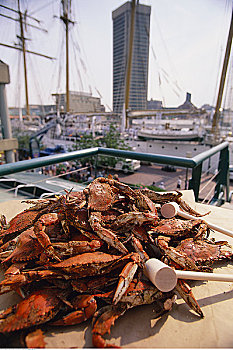 堆,蟹肉,桌上,户外,巴尔的摩,马里兰,美国