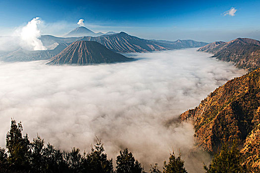 蒸汽,婆罗摩火山,火山,婆罗莫,国家公园,印度尼西亚