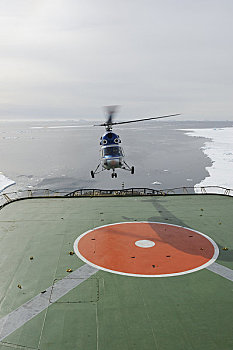 直升飞机,降落,船,威德尔海,南极