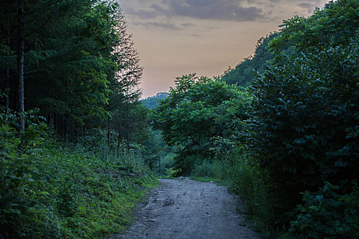 山间小路