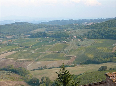蒙蒂普尔查诺红葡萄酒,意大利