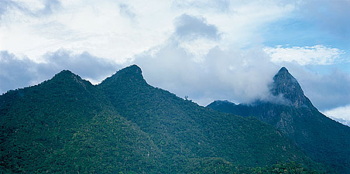 海南尖峰岭热带原始森林自然保护区