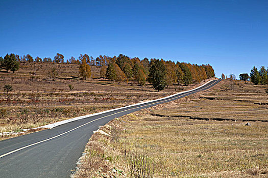 草原公路