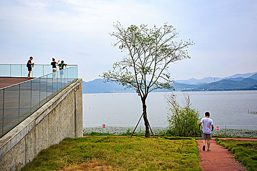 东钱湖,水岸,湖畔,休闲,风