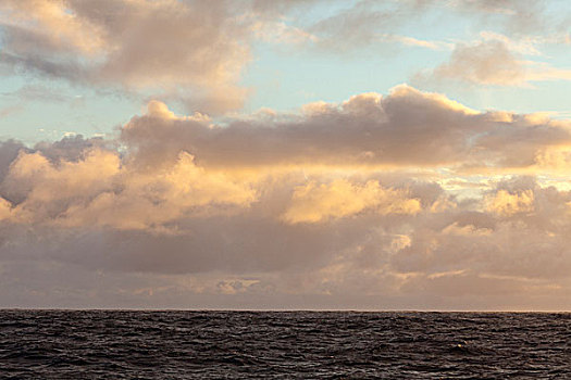海景,大西洋,云,日落