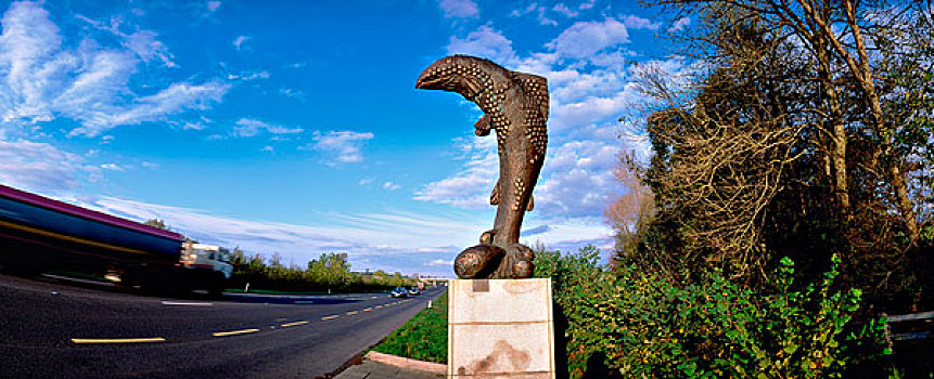 蒂帕雷里,爱尔兰,鱼,雕塑,靠近,道路
