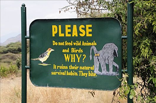 标识,进食,野生动物,国家公园,坦桑尼亚,非洲