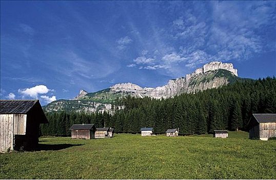高山牧场,萨尔茨卡莫古特,失败者,奥地利,欧洲
