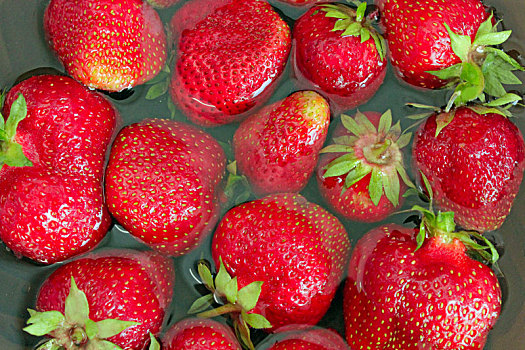 成熟,红色,草莓,水