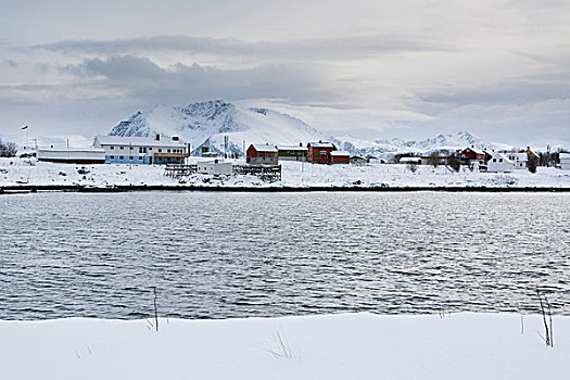 积雪,风景,远景,房子,罗浮敦群岛,挪威
