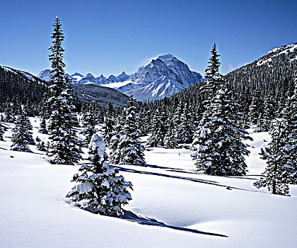 住宿,滑雪道,国家公园,艾伯塔省,加拿大