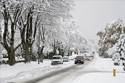 道路,冬天,灰色,温哥华,不列颠哥伦比亚省,加拿大
