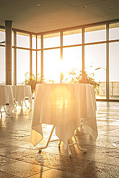 室内,桌子,白色,桌布,温暖,阳光