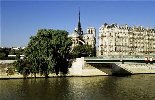 法国,巴黎,圣母大教堂,赛纳河,河