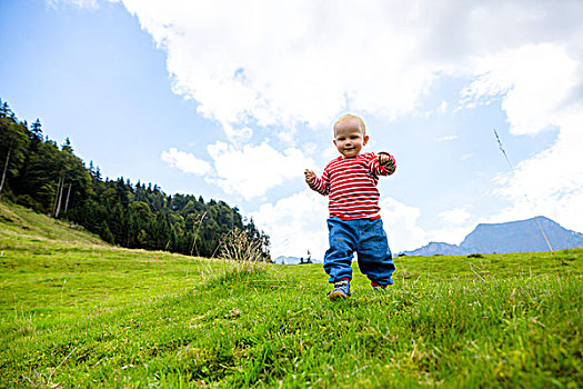 幼儿,18个月,夏天,远足,瑞士人,山,阿彭策尔,瑞士,欧洲