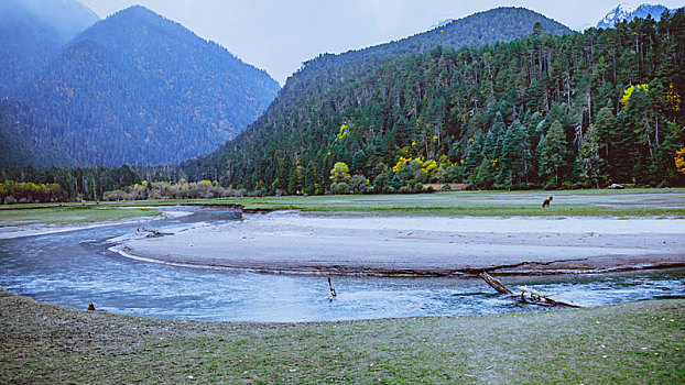 西藏波密草湖