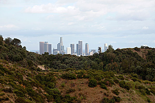 洛杉矶市区,天际线,公园