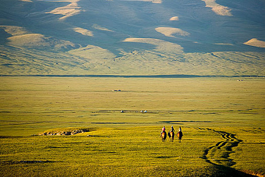 新疆巴音布鲁克草原